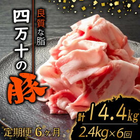 【ふるさと納税】 【定期便6回】四万十ポークスライス 計14.4kg（2.4kg×6ヶ月連続お届け) 2Lコース | 豚肉 豚バラ肉 小分け 小間切れ スライス 切り落とし 冷凍 真空パック 簡単調理 細切れ 大容量 肉 高知県 須崎市 ふるさと納税豚肉定期便 TM40000