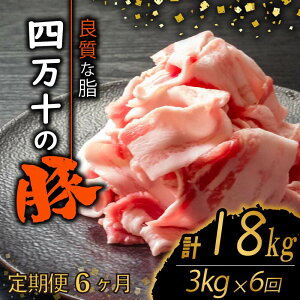 yӂ邳Ɣ[Łz y6zl\|[NXCX v18kgi3kg×6A͂) 2OR[X | ؓ ؃o  Ԑ؂ XCX ؂藎Ƃ Ⓚ ^pbN ȒP א؂ e 