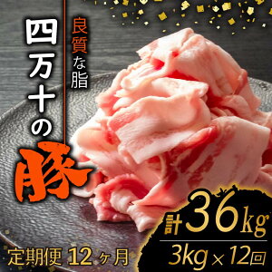 yӂ邳Ɣ[Łz y12zl\|[NXCX v36kgi3kg×12A͂) 2PR[X | ؓ ؃o  Ԑ؂ XCX ؂藎Ƃ Ⓚ ^pbN ȒP א؂ e