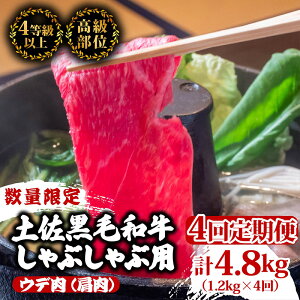 yӂ邳Ɣ[Łz y4zyјaEfԂԗp v4.8kgi1.2kg×4A͂) 3DR[X |  Ef  ŏʓ A4 A5 ōN ґ Ԃԁ@ XCX 