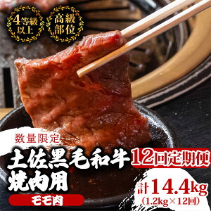 yӂ邳Ɣ[Łz y12zyјaēp v14.4kgi1.2kg×12A͂) 3VR[X |   ŏʓ A4 A5 ōN ґ Ă ₫ɂ  Ⓚ Y u