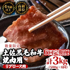 【ふるさと納税】 【定期便6回】土佐 黒毛 和牛 焼肉用 計3kg（500g×6ヶ月連続お届け) 4Oコース | 特撰 リブロース ロース A4 A5 焼き肉 やきにく 小分け 冷凍 国産 ブランド 和牛 牛肉 大人気 おすすめ ランキング おいしい 限定 アウトドア 高知県 須崎 TM95000