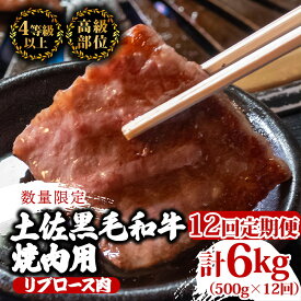 【ふるさと納税】 【定期便12回】土佐 黒毛 和牛 焼肉用 計6kg（500g×12ヶ月連続お届け) 4Pコース | 特撰 リブロース ロース A4 A5 焼き肉 やきにく 小分け 冷凍 国産 ブランド 和牛 牛肉 大人気 ギフト おすすめ ランキング おいしい 限定 高知県 須崎 TM96000