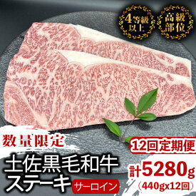 【ふるさと納税】 【定期便12回】土佐黒毛和牛サーロインステーキ 計5.28kg（440g×12ヶ月連続お届け) 2Tコース | 特撰 サーロイン肉 最上位等級 A4 A5 最高 ランク 贅沢 厚切り ステーキ用 焼肉用 キャンプ飯 国産 牛肉 高知県 須崎市 TM48000