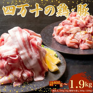 yӂ邳Ɣ[Łz l\{Ǝl\|[N  Zbg v800g`1.9kg ( { 500g/1kg ؓ XCX 300g ~ 1.2kg ) { Zbg ؓ ؃o Ⓚ ^pbN ȒP Jbgς  Ƃɂ