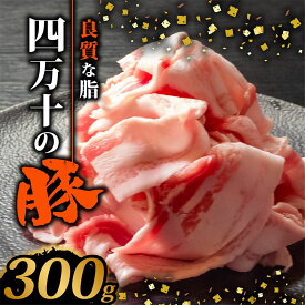 【ふるさと納税】 四万十ポークスライス 300g~3kg | 300g ごとの小分け 豚肉 豚バラ肉 小間切れ スライス 切り落とし 訳アリ 訳あり 冷凍 真空パック 簡単調理 細切れ 大容量 肉 高知県 須崎市 ふるさと納税豚肉
