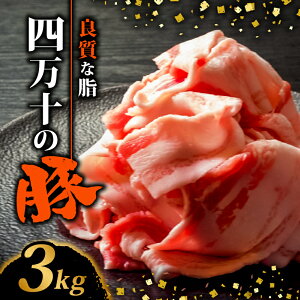 yӂ邳Ɣ[Łz l\|[NXCX 300g~3kg | 300g Ƃ̏ ؓ ؃o Ԑ؂ XCX ؂藎Ƃ A 󂠂 Ⓚ ^pbN ȒP א؂ e  m {s 