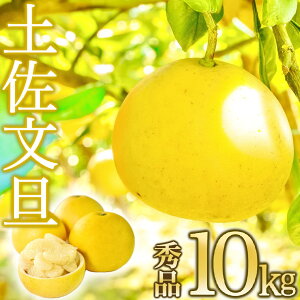 yӂ邳Ɣ[Łz \tJn U n Gi 10kg y2{菇zz mY k t[c U Ԃ񂽂 u^ ʕ ݂ k Yn ӂ邳Ɣ[ ŕU Ԍ