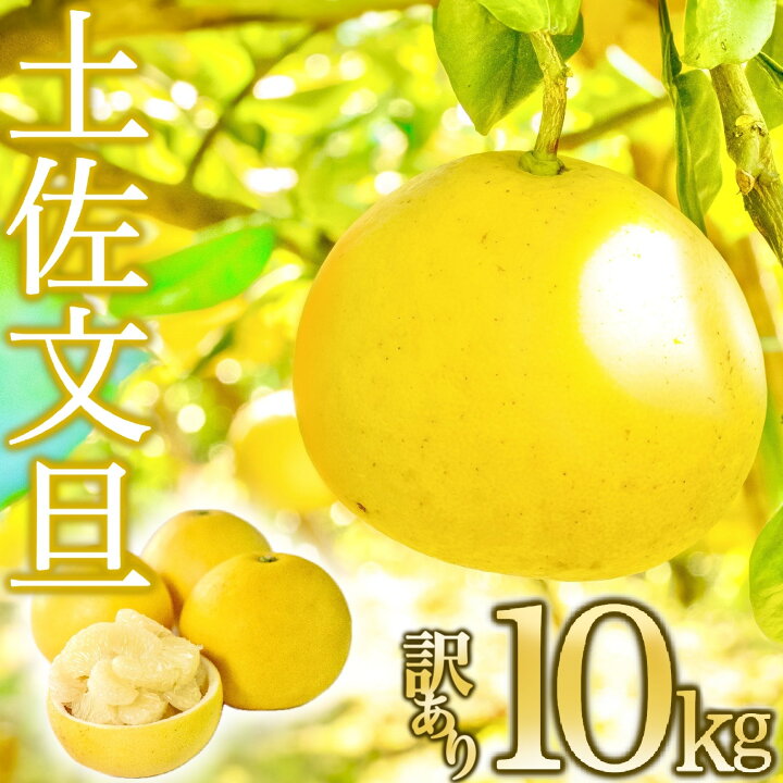 楽天市場】【ふるさと納税】文旦 訳あり 10kg あわ地区 訳あり 家庭用 