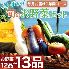 【ふるさと納税】 定期便 野菜 12～13品 12回 野菜詰め合わせ 季節 旬 野菜定期便 野菜セット 詰め合わせ セット 毎月お届け 高知県 須崎市人気 ランキング 食品 お楽しみ バラエティ おすすめ 12か月 やさい 野菜盛り まるごと ふるさと納税野菜