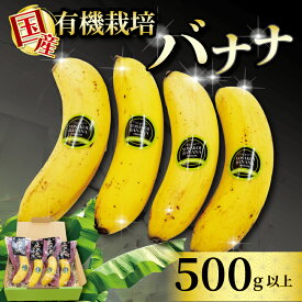 【ふるさと納税】 有機栽培 国産高級バナナ500g以上 糖度25度以上 果物 フルーツ 人気 ふるさと納税バナナ ふるさと納税果物 ふるさと納税フルーツ ふるさと納税 バナナふるさと納税 高知県 須崎市