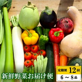 【ふるさと納税】 【早期予約】 全 12回 12ヶ月 定期便 季節 旬の 野菜 6 ～ 8品 詰め合わせ セット 年末年始限定 早期予約 期間限定 高知県 須崎市人気 ランキング 食品 お楽しみ バラエティ おすすめ
