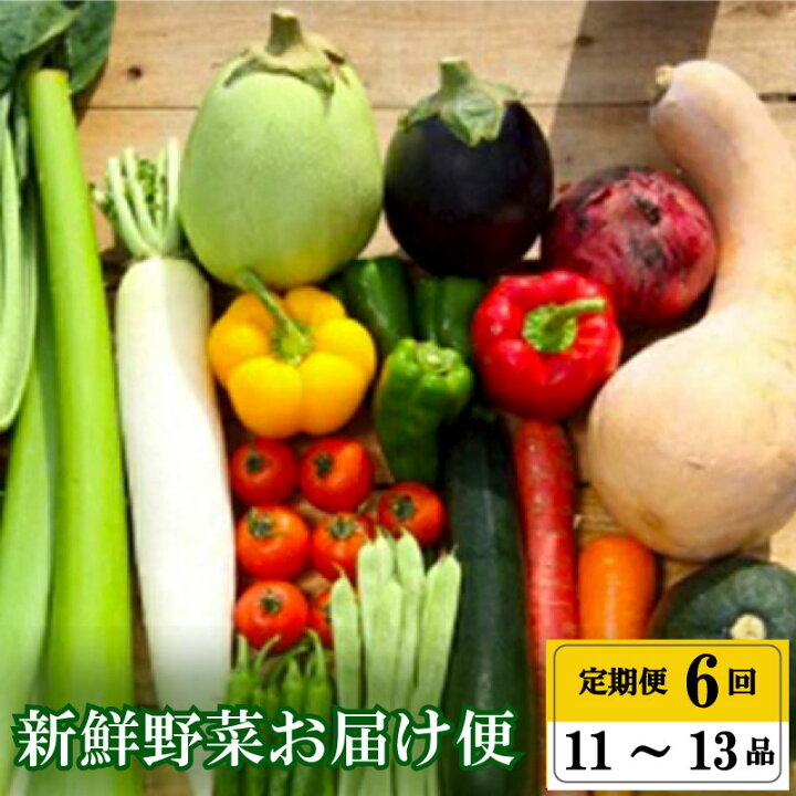 夏野菜詰め合わせ　おまかせセット 野菜　茶豆 とうもろこし トマト なす 👜 【亜麻仁油】 きゅうり ピーマン ズッキーニ おまかせ 新潟県 十日町.. 新潟県十日町市