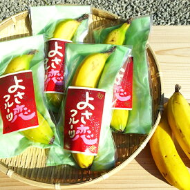 【ふるさと納税】 高級 バナナ 600g 以上 国産 有機栽培 高知初 糖度 25度以上 果物 フルーツ 高知県 須崎市