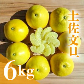 【ふるさと納税】 【レビュー評価4.86】 土佐文旦 6kg 高知県産 柑橘 フルーツ ふるさと納税 【 早期予約 2026年2月下旬より順次発送 】 文旦 ぶんたん ブンタン 果物 みかん くだもの ふるさと納税柑橘 ふるさと納税果物 産地直送 先行予約 高知県 須崎市 HNT011