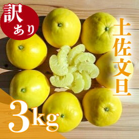 【ふるさと納税】 訳あり 土佐文旦 家庭用 3kg 4〜7玉 柑橘 ぶんたん フルーツ みかん 【早期予約 2026年2月下旬より順次発送】 南国 高知 からの 贈り物 産地直送 先行予約 ふるさと納税 文旦 訳アリ くだもの 須崎 ふるさと納税みかん ふるさと納税柑橘