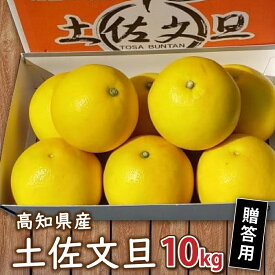 【ふるさと納税】 秀品 土佐文旦 10kg 2027年1月下旬発送 贈答用 高知県産 柑橘 フルーツ 文旦 ぶんたん ブンタン 果物 みかん 蜜柑 柑橘 産地直送 期間限定 早期予約 季節 限定 高知県 須崎市 産地直送 こだわり文旦 早期 予約