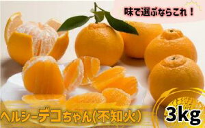 yӂ邳Ɣ[Łz y\z y󂠂z wV[fR 3kg 2026N 2{珇 ʂ sm { ʕ t[c  m {s KYM001