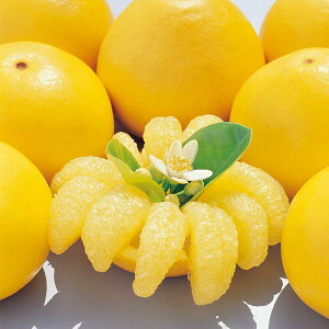 yӂ邳Ɣ[Łz y\z y󂠂znyԂ񂽂 5kg U k t[c ݂ Ԃ񂽂 Yn m {s