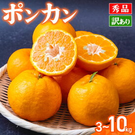 【ふるさと納税】 ポンカン 5kg 10kg 訳あり 秀品 選べる 早期受付 2026年1月中旬より順次発送 安和ポンカン 産地直送 柑橘 贈答 ギフト フルーツ 果物 くだもの 果実 みかん デザート 贅沢 ふるさと納税 高知県 須崎市 YN
