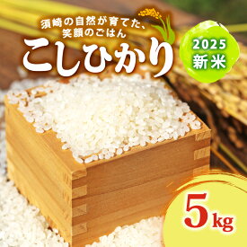 【ふるさと納税】 2025年 新米 コシヒカリ 5kg 8月中旬から発送開始 産地直送 高知県産 新米 白米 ごはん お米 ご飯 精米 産地直送 厳選 白米 米 朝食 夕食 匠 人気 国産 高知県産 須崎市 SDM001