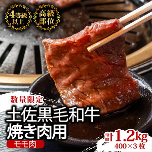 yӂ邳Ɣ[Łz y  a ēp1.2kg i 600g × 2pbN j |   A4 A5 1kg ȏ ґ Ă ₫ɂ  Ⓚ Y uh a  lC Mtg  LO 