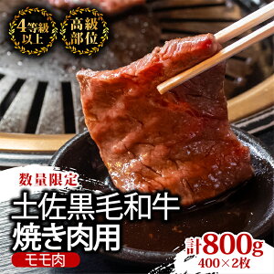 yӂ邳Ɣ[Łz y  a ēp 800g i 400g × 2pbN j |   ŏʓ A4 A5 ґ Ă ₫ɂ  Ⓚ Y uh a  lC Mtg LO  BBQ