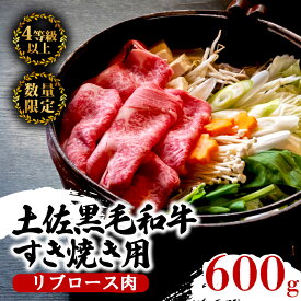 【ふるさと納税】 土佐 黒毛 和牛 すき焼き用 600g | 特撰 リブロース肉 最上位等級 A4 A5 最高ランク 贅沢 すきやき スキヤキ用 鍋 焼肉用 小分け 冷凍 国産 牛肉 高知県 須崎 ふるさと納税和牛 TM007