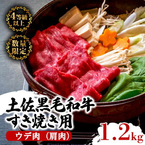 yӂ邳Ɣ[Łz y  a Ăp 1.2kg i 600g × 2pbN j |  Ef  ŏʓ A4 A5 ōN ґ ₫ XLLp  ēp  Ⓚ Y  m {