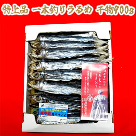 【ふるさと納税】 うるめいわし 900g 干物 本場 高知産 鰯 煮干し 真いわし 真鰯 稚魚 おやつ 乾物 魚介 加工品 高知県 須崎市 MMY003