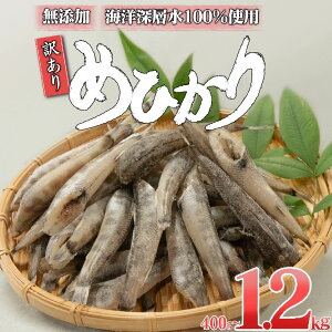 yӂ邳Ɣ[Łz ߂Ђ 400g 800g 1200g g  ۂ   ܂ JVE ~l VR Cm[w ۋ{ {{X m {s