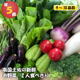 【ふるさと納税】 数量限定 定期便 野菜 5回 9～10種類程度 2人暮らしにぴったり 南国土佐のお野菜食べきりサイズ セット 限定80セット 詰め合わせ 季節 新鮮 産地直送 高知県 須崎市 NK2000人気 ランキング 食品 お楽しみ バラエティ おすすめ 5ヶ月