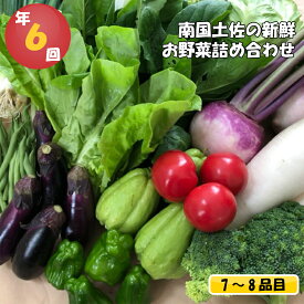 【ふるさと納税】 数量限定 定期便 野菜 7～8品目 6回 南国土佐の新鮮お野菜 詰め合わせ お楽しみ セット 限定100セット 詰め合わせ 季節 新鮮 産地直送 高知県 須崎市 NK3000人気 ランキング 食品 お楽しみ バラエティ おすすめ 6ヶ月