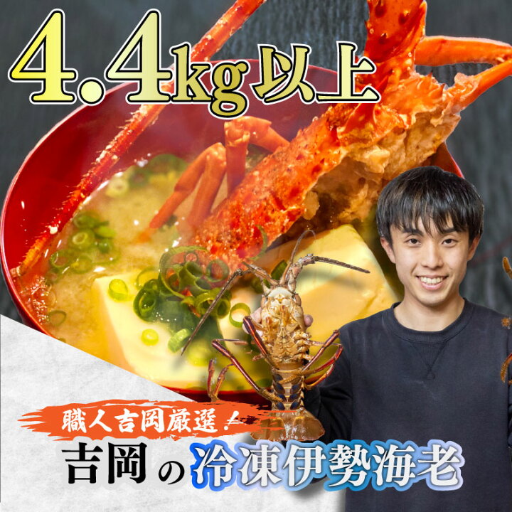 楽天市場 ふるさと納税 伊勢海老 冷凍 4 4キロ 以上 伊勢 エビ 海老 イセエビ エビフライ 豪華 おつまみ おかず 味噌汁 4 4kg 大容量 高知県 須崎市 高知県須崎市