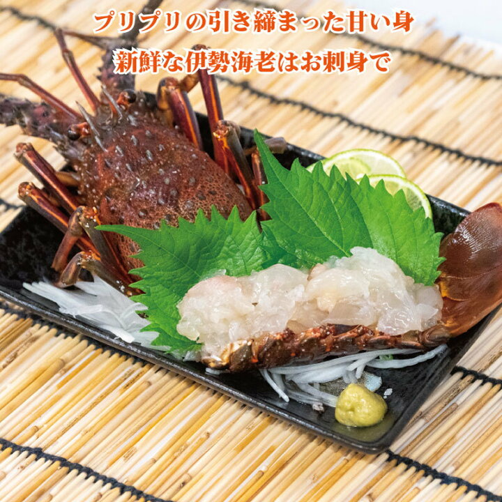 楽天市場 ふるさと納税 伊勢海老 冷凍 4 4キロ 以上 伊勢 エビ 海老 イセエビ エビフライ 豪華 おつまみ おかず 味噌汁 4 4kg 大容量 高知県 須崎市 高知県須崎市 楽天市場 ふるさと納税 伊勢海老 冷凍 4 4キロ 以上 伊勢 エビ 海老 イセエビ エビフライ 豪華 おつまみ おかず 味噌汁 4 4kg 大容量 高知県 須崎市 高知県須崎市
