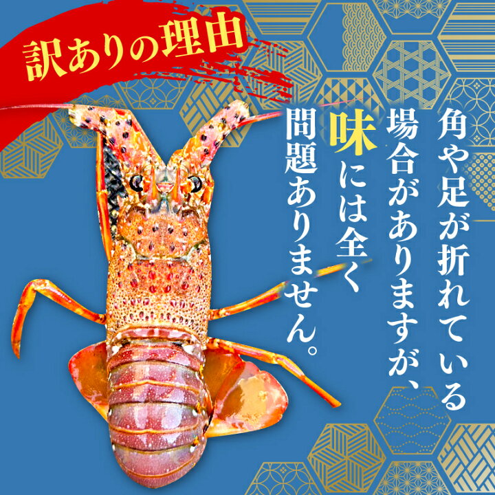 楽天市場】【ふるさと納税】 訳あり 職人吉岡 冷凍 伊勢海老 選べる  