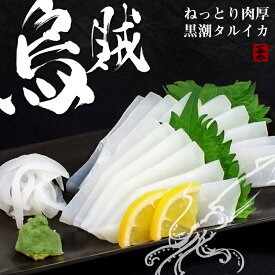 【ふるさと納税】 イカ 小分け パック いか タルイカ もちもち 不揃い 訳あり ふるさと納税いか ふるさと納税イカ