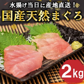 【ふるさと納税】 【12月より順次発送】 マグロ 2kg 国産 天然 鮪 刺身 刺し身 炙り ネギトロ 漬け ステーキ 用 大容量 ブロック 産地直送 高知 須崎 ふるさと納税マグロ ふるさと納税まぐろ ふるさと納税ふるさと