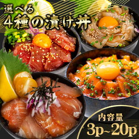 【ふるさと納税】 選べる 漬け丼 80g ~ 90g 3パック セット 単品 5パック ~ 20パック セット 食べ比べ 醤油 キハダマグロ カジキマグロ イカ マグロ サーモン 鮭 シャケ 鮪 烏賊 漁師飯 特製 新鮮 個包装 小分け 手軽 時短 便利 海鮮丼 丼 お手軽 冷凍 高知県 須崎市