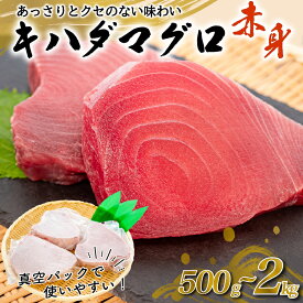 【ふるさと納税】 訳あり マグロ 赤身 500g～2kg キハダマグロ ( 刺身 漬けまぐろ ステーキ 冷凍 家庭用 ふるさと納税マグロ ふるさと納税まぐろ 選べる 高知県 須崎市 )