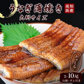 【ふるさと納税】 うなぎ 蒲焼 200g × 2尾 ～10尾 高知県産 鰻 うなぎの蒲焼き タレ付 冷凍 うな丼 うな重 高知県 須崎市 ふるさと納税うなぎ ふるさと納税鰻