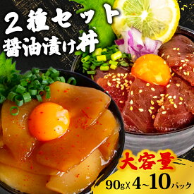 【ふるさと納税】 選べる 2種 漬け丼 90g 4パック 6パック 10パック セット 醤油 キハダマグロ カジキマグロ イカ マグロ 漁師飯 マグロ丼 鉄火丼 鮪丼 イカ丼 烏賊 鮪 特製 新鮮 個包装 小分け 手軽 時短 便利 海鮮丼 丼 どんぶり お手軽 冷凍 高知県 須崎市