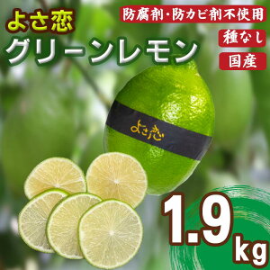 yӂ邳Ɣ[Łz 햳 悳O[ 10~12 1.9kg ƒp  h sgp  EG Y VN YEG Y ʕ    N t[c Yn 