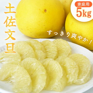 yӂ邳Ɣ[Łz y 2{   z 󂠂 U 5kg ƒp L ` 2L TCY \ \t yU Ԃ񂽂 ݂ k Ԃ񂽂 Gߌ Ԍ {  ӂ邳Ɣ[