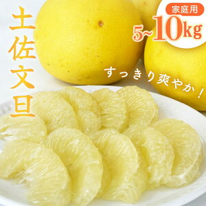 yӂ邳Ɣ[Łz y 2{   z 󂠂 U 5kg 10kg ƒp L ` 2L TCY \ \t Iׂ e yU Ԃ񂽂 ݂ k Ԃ񂽂 Gߌ Ԍ { 