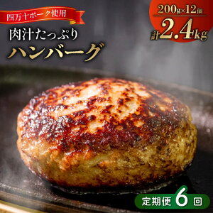 yӂ邳Ɣ[Łz 6  l\ |[N  no[O 2.4kg ( 200g × 12 ) 6 Ⓚ ^   `Ղ e ҂  ؓ ٓ  y ӂ͂ ґ SNM1000