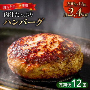 yӂ邳Ɣ[Łz 12  l\ |[N  no[O 2.4kg ( 200g × 12 ) 12 Ⓚ ^   `Ղ e ҂  ؓ ٓ  y ӂ͂ ґ SNM20