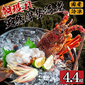 yӂ邳Ɣ[Łz y2025N4菇zz󂠂 l ɐCV 350g ` 450g KiO 킯 } Ⓚ Yn { m CN  CZGr CV  Gr ɐGr ґ  