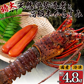 【ふるさと納税】 特大伊勢海老 1尾 ～ 7尾 高級 本からすみ 100g ～ 600g 選べる 容量 ( 特大サイズ 急速冷凍 えび エビ からすみ カラスミ 珍味 高級 鮮魚 海鮮 魚介 魚卵 刺身 焼き物 汁物 セット ギフト 贈答 贈り物 祝い 歳暮 中元 ふるさと納税伊勢海老