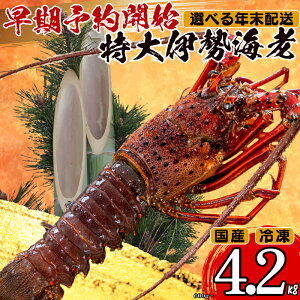 yӂ邳Ɣ[Łz yN\tz ɐCV Iׂ e 600g ` 4.2kg ȏ Ⓚ ( TCY }Ⓚ  Gr  N CN  hg Ă ` Mtg  蕨 j 